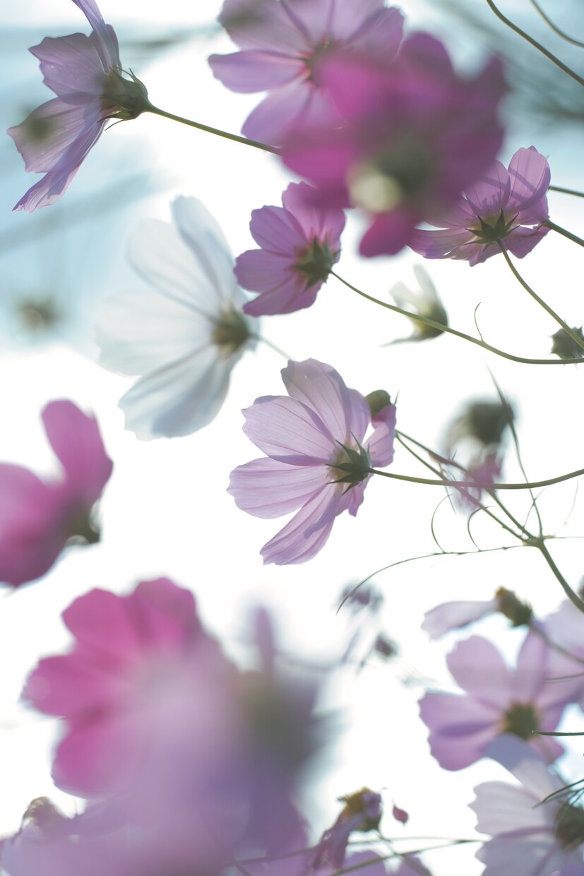 あなたの撮った写真のRAW現像を代行します 現役で写真現像をしている私があなたの写真を仕上げます！ イメージ1