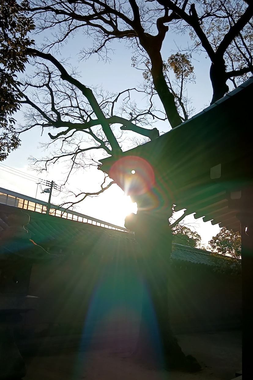 自身の潜在能力を見つけ出し、希望ある未来へ導きます 性格分析、魅力開発、あなたを開運へと導きます イメージ5