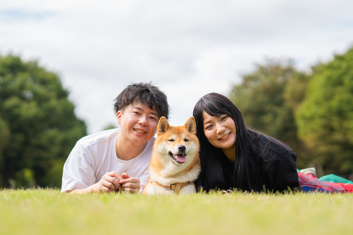犬・猫・ペットの自然な写真を撮影します ペットと家族が過ごす時間をプロクオリティで残しませんか？ イメージ4