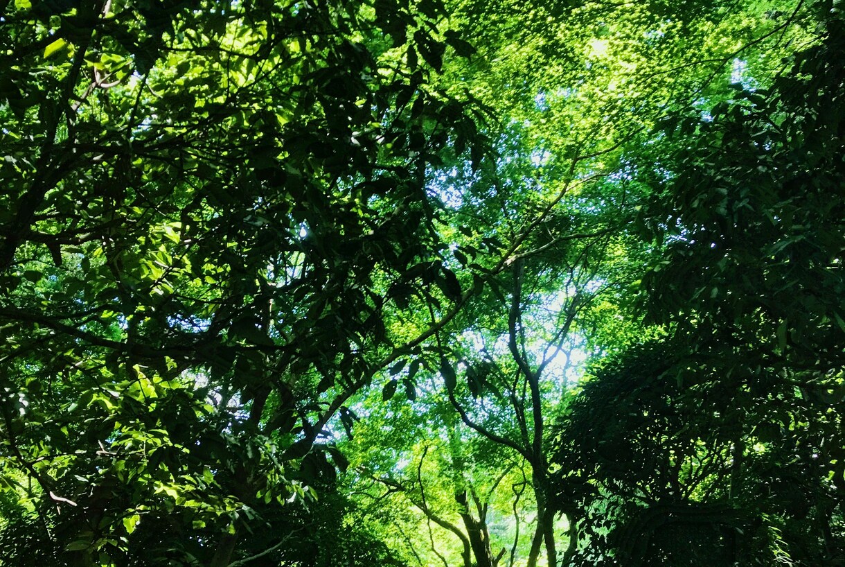 メンヘラが心理相談承ります 病んでる人じゃないとわからないことありますもんね。 イメージ1
