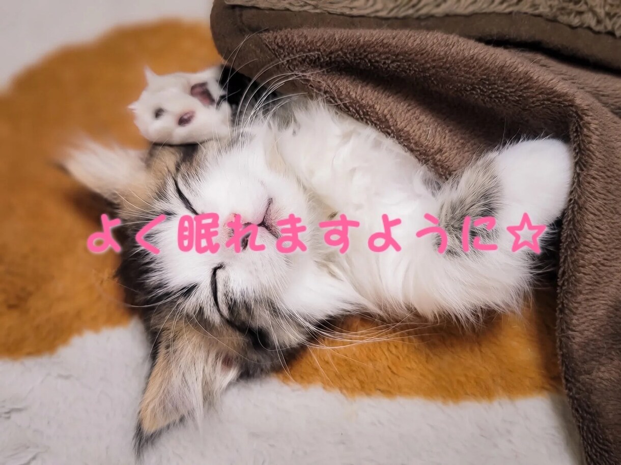 ウソが嫌いな人❣️本音で友達のように話します 堅苦しいのが苦手な方･*リラックスしてお話ししましょう✧₊ イメージ3