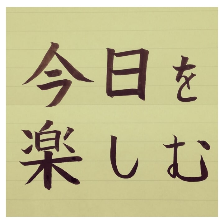目標達成！あなたのダイエットを全力でサポートします 痩せたいあなたへ！一人で頑張れない、アドバイスが欲しい人向け イメージ1