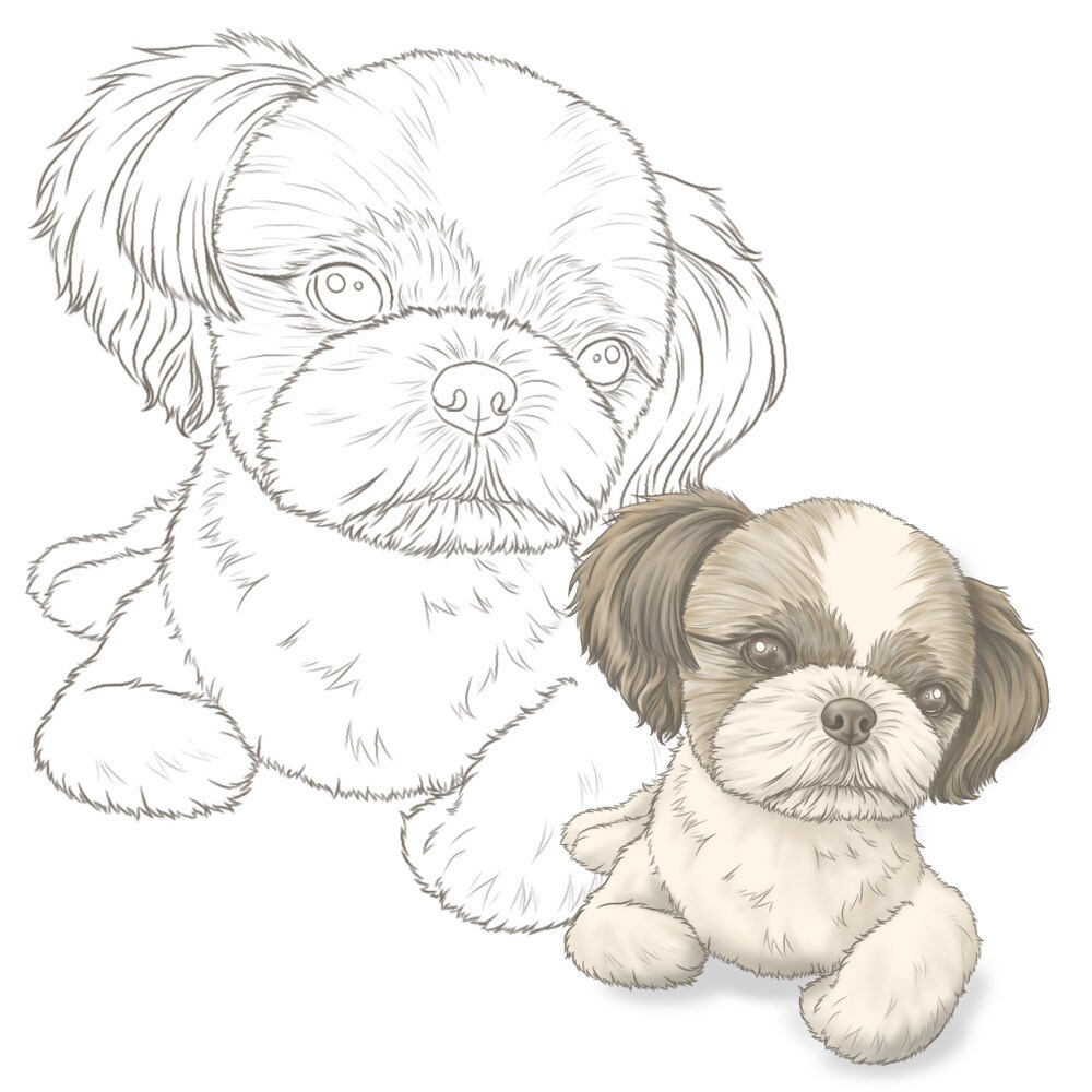 うちの子塗り絵お描きします ペットなどのお好きな動物を自分色で彩ってみませんか イメージ5
