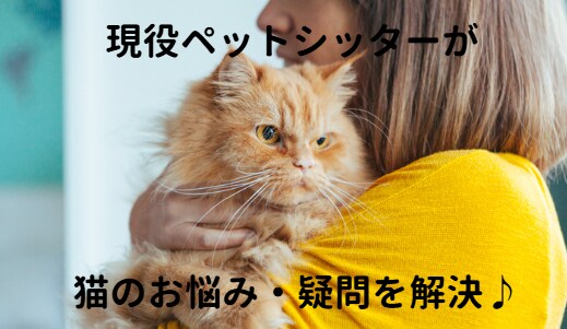 猫のどんな些細な疑問や質問にもお答えします 現役ペットシッターが、猫の飼育全般のお悩みにアドバイス イメージ1