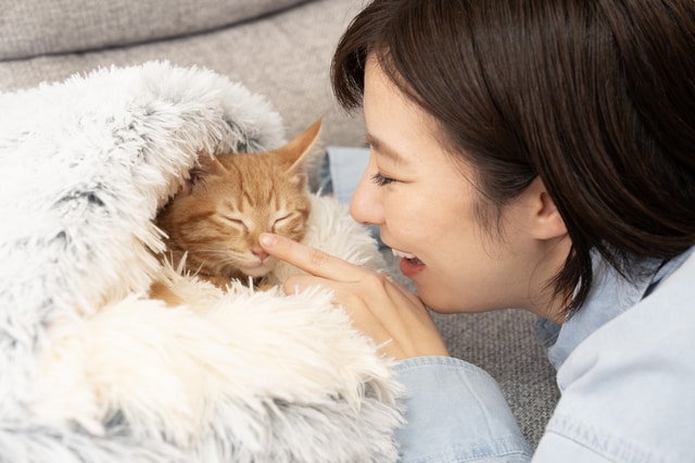 遠隔気功でペットヒーリングをさせていただきます ペットはもちろん、飼い主様にも寄り添う、誠実なサービスです イメージ1