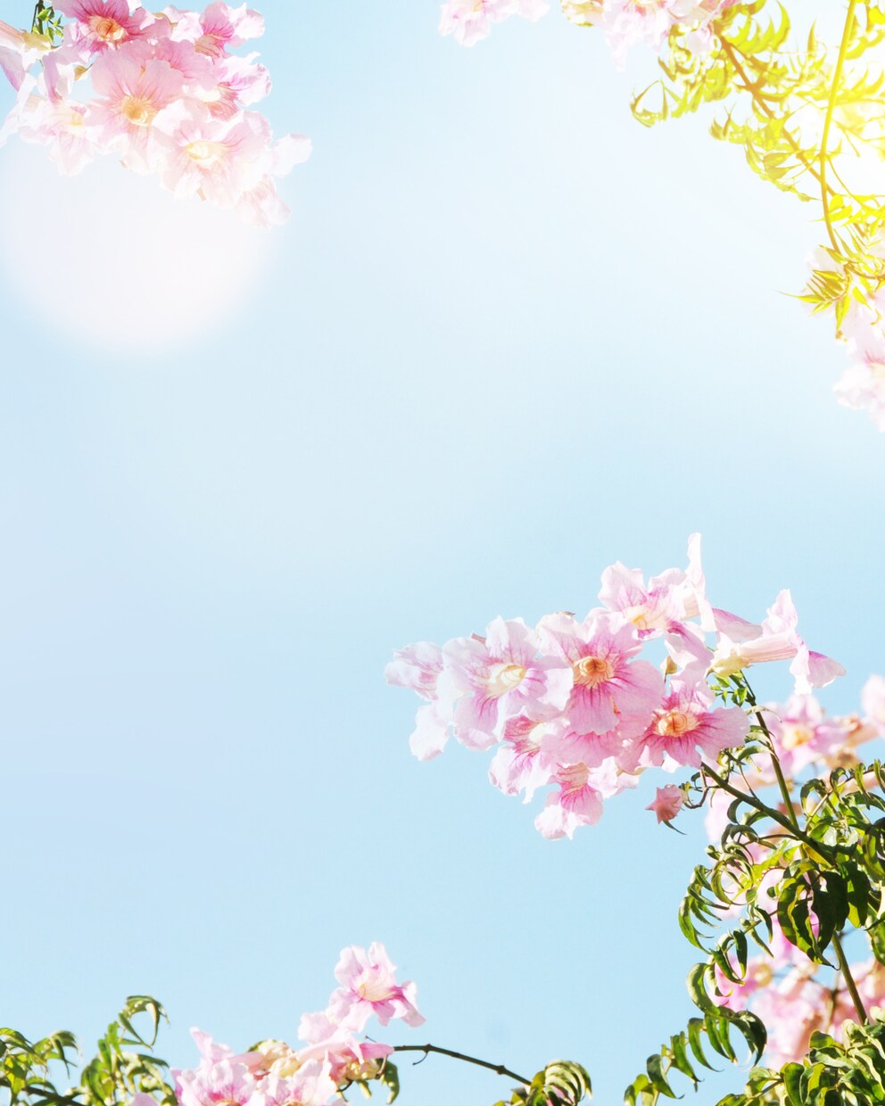 1週間限定のお友達☘LINE感覚で何でもお話します おはようからおやすみまで♡愚痴も他愛ない雑談も、まるっとOK イメージ4