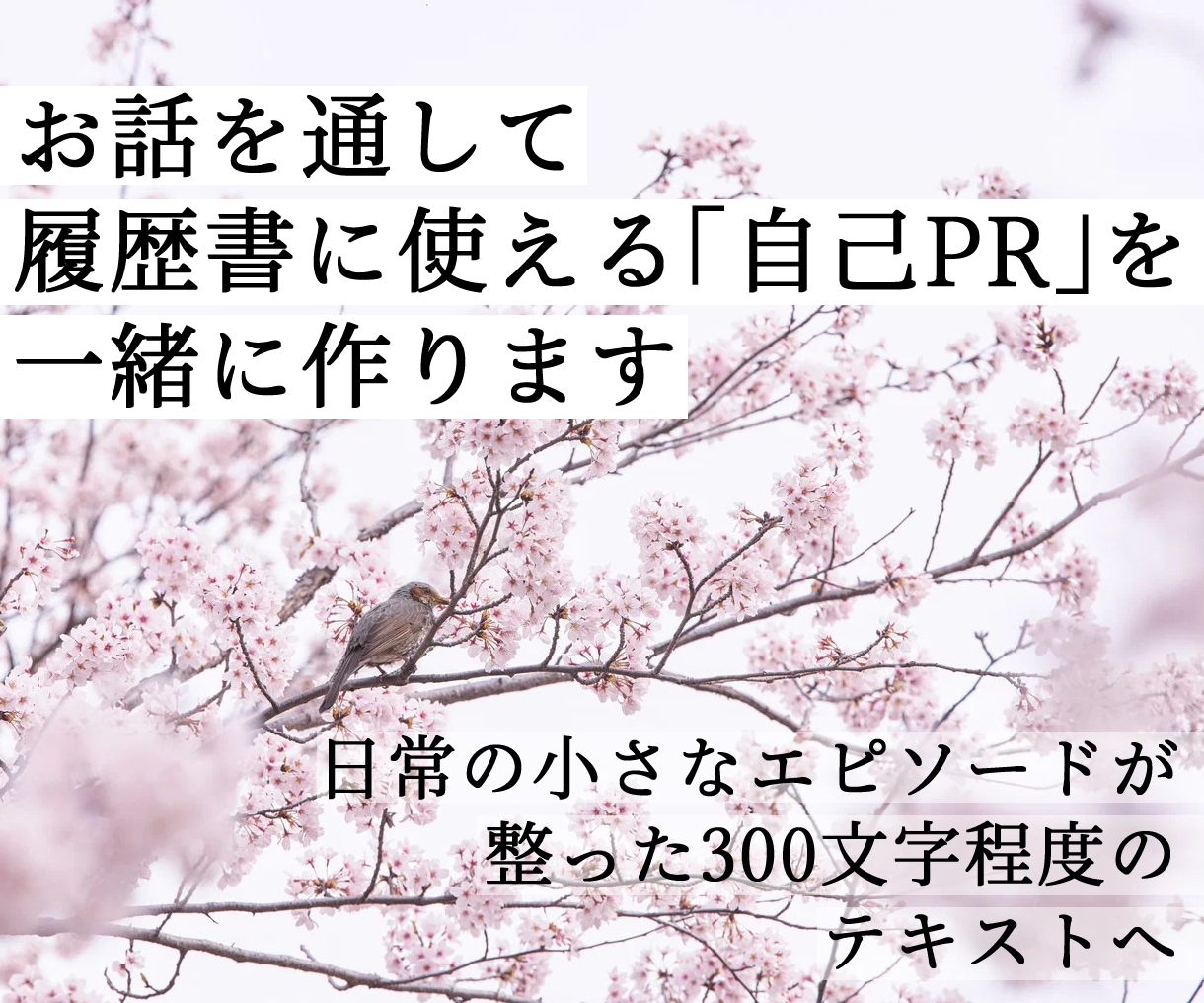 お話を通して履歴書に使える自己PRを一緒に作ります 就活する方へ、300文字程度の整ったテキストをお届けします イメージ1