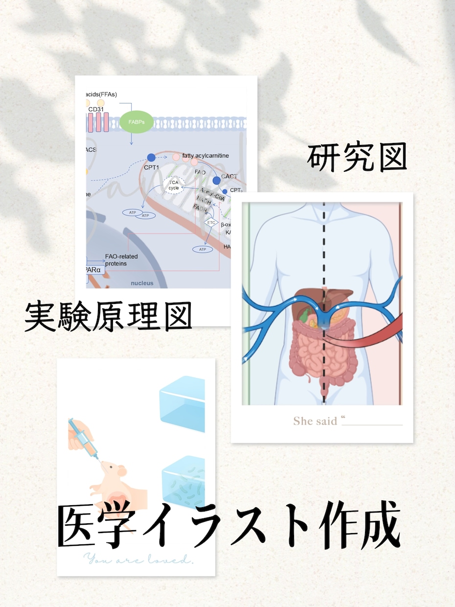 研究図・論文図・医学イラスト作成します 学会発表・実験原理図・細胞経路図・手術説明図まで対応できます イメージ1