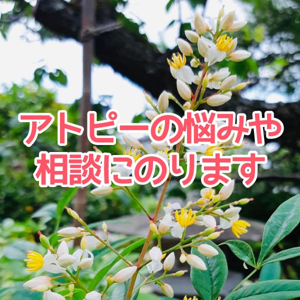 アトピーの悩み・相談にのります 脱ステ・リバウンド・再発の経験あり。現在は施術者として活動 イメージ1