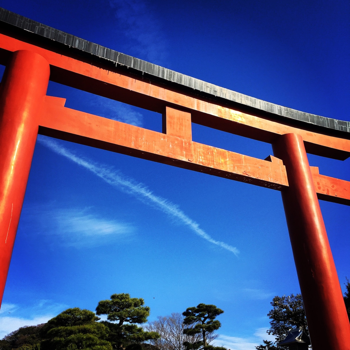 あなたの気持ちを大切にゆっくりお話お聞きします 心が楽になりますように(* u.u)安心して話せる場所です イメージ2