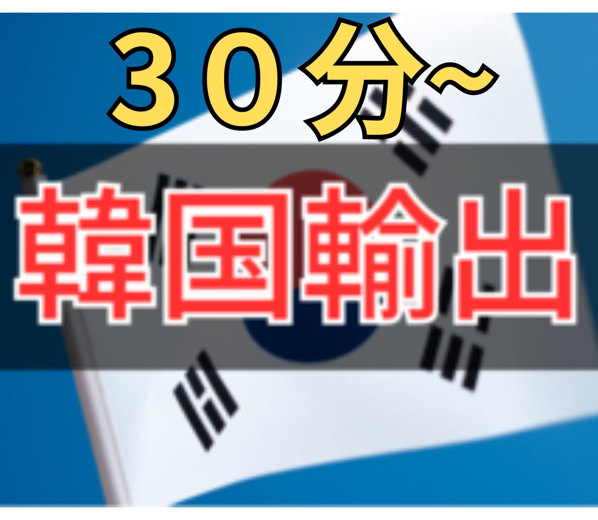 韓国輸出 無在庫輸出物販のお悩み解決、相談します 個別最適化したアドバイスをします（目標、商品ページ・作業等） イメージ1