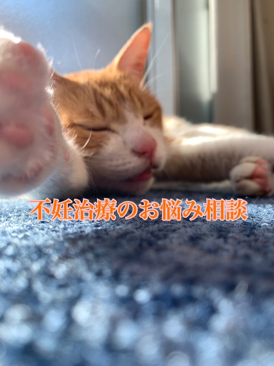 不妊治療の悩みをお聞きします 不妊治療中のご夫婦の悩み、不安お聞きします イメージ1