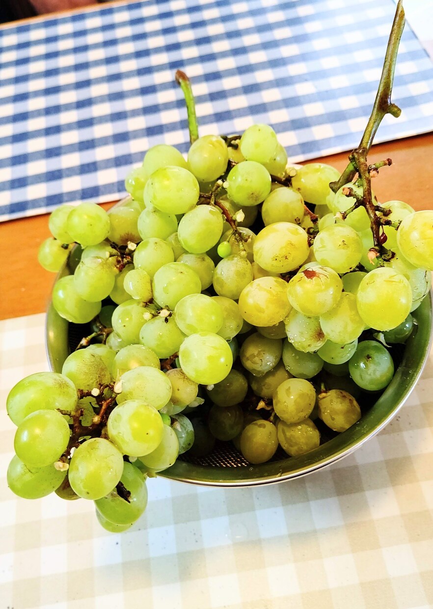 初心者の方に園芸の基礎をお教え致します 園芸歴25年、主にバラや草花、果樹なども育てています。 イメージ9