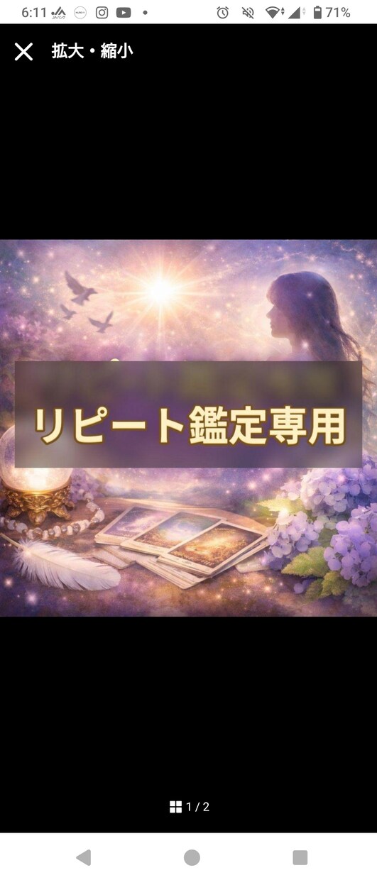リピート鑑定致します 前回の鑑定結果を踏まえ再度鑑定致します イメージ1