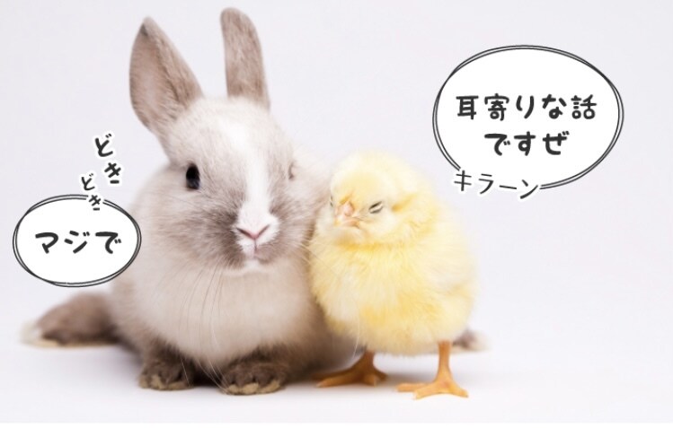 どんな些細なお話も否定する事なく「聴き」ます 「聴く」は気持ちに寄り添って耳を傾ける事。 イメージ1