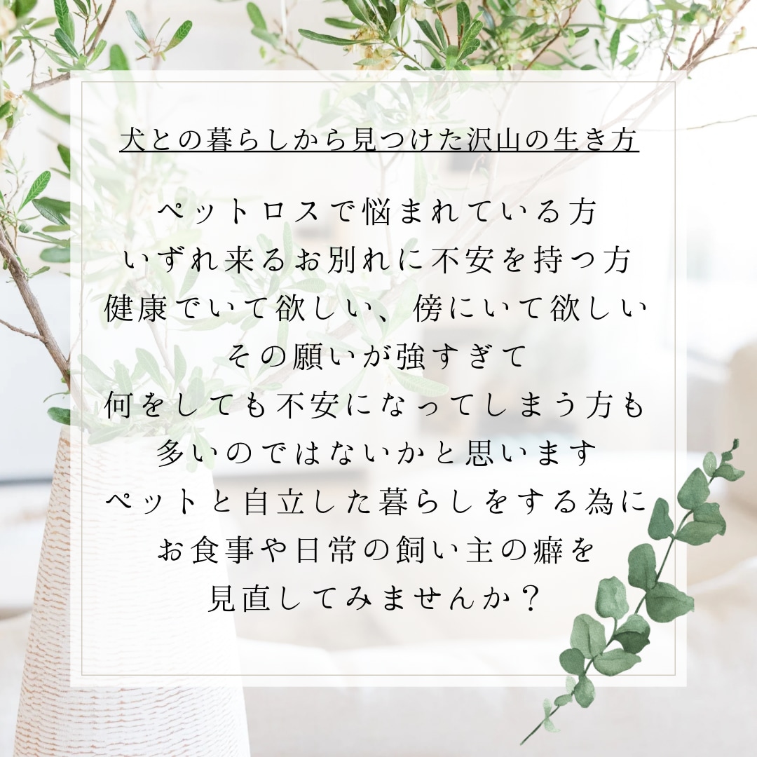 マインドコーチングセッションします 子育て、ペットとの暮らしの不安を解消しませんか？ イメージ2