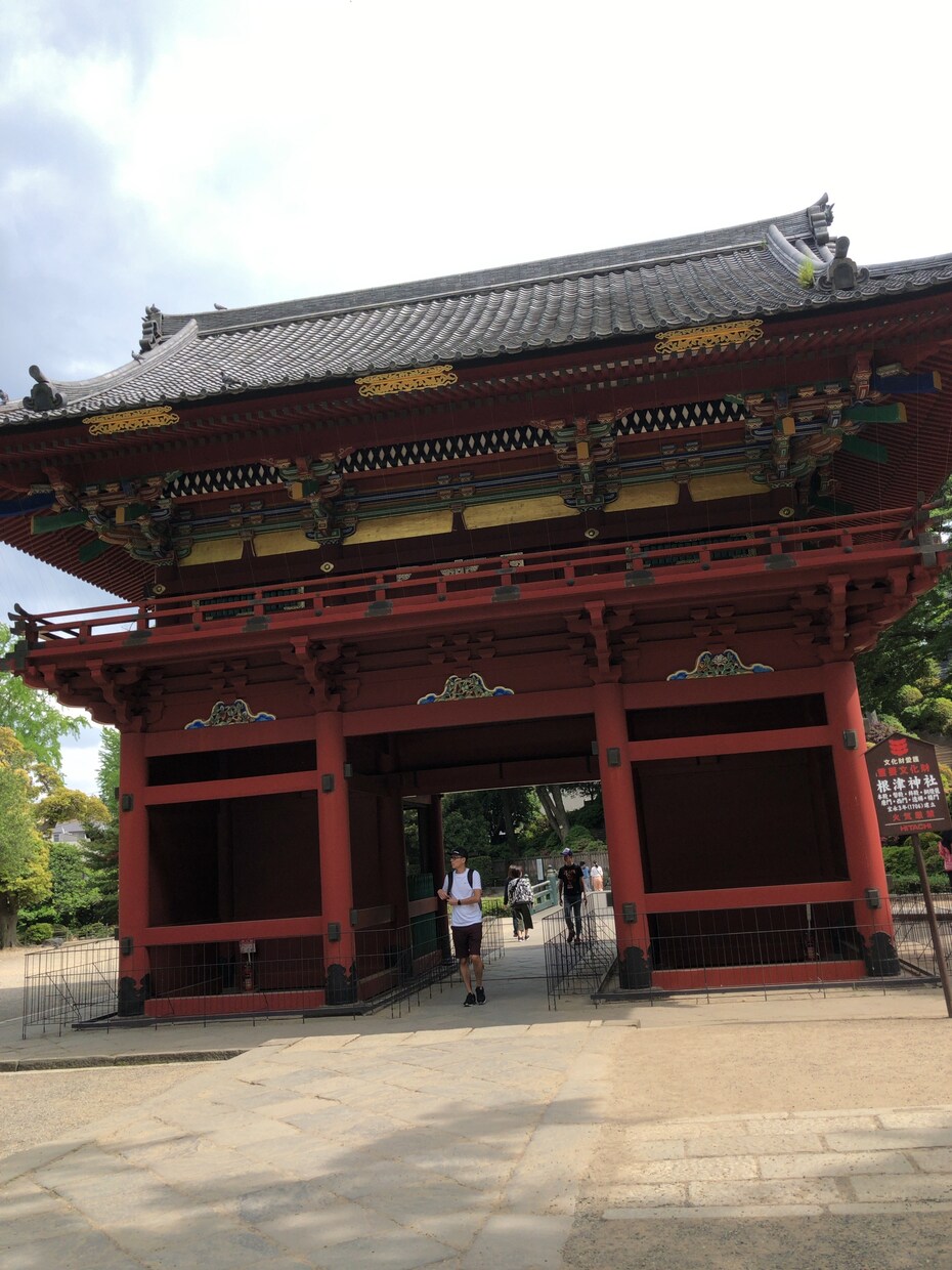 違う高校生、中学生に勉強教えます 現役国公立大学生の個人指導！1問から質問可能！ イメージ1