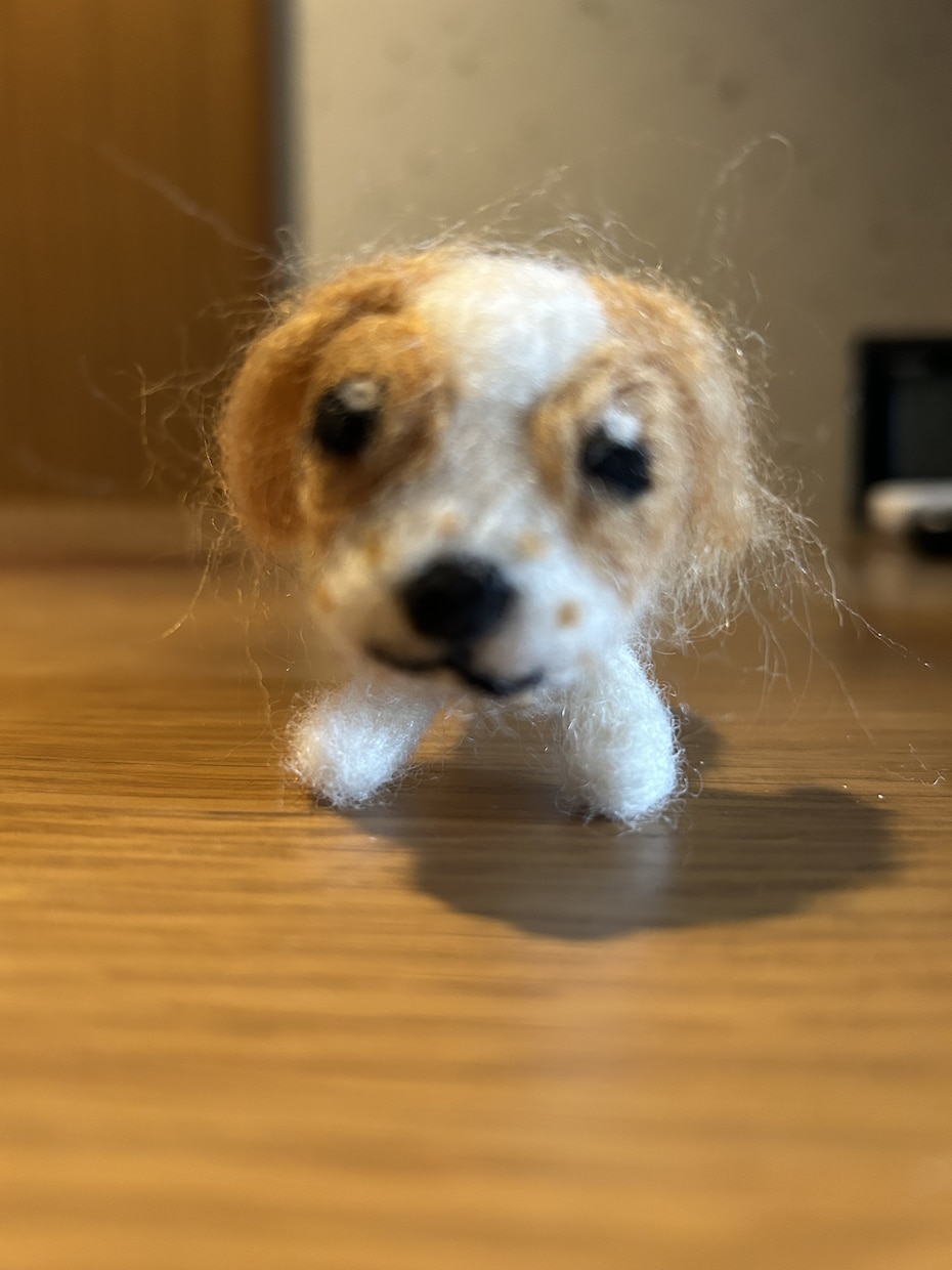 あなたのペットをモチーフにしたマスコットを作ります 羊毛フェルトでペットのマスコット人形を作成します イメージ1