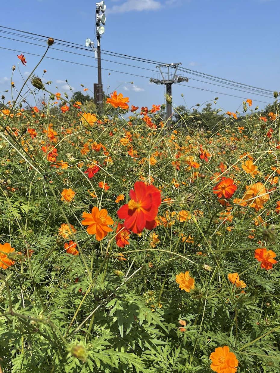 とにかく誰かと話したい時、お付き合いします 5分から、気が済むまで話してくれてイイですよ(^ ^) イメージ9