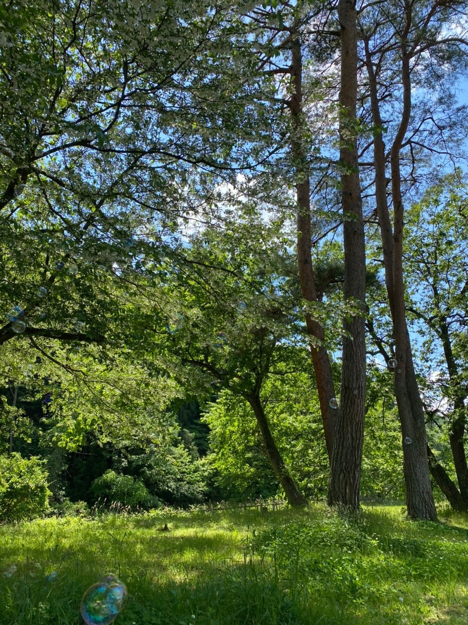 ちょこっと話したい☘️どんな話でも受け止めます 【女性も男性も大歓迎秘密厳守！】心の内を話して笑顔に。 イメージ5
