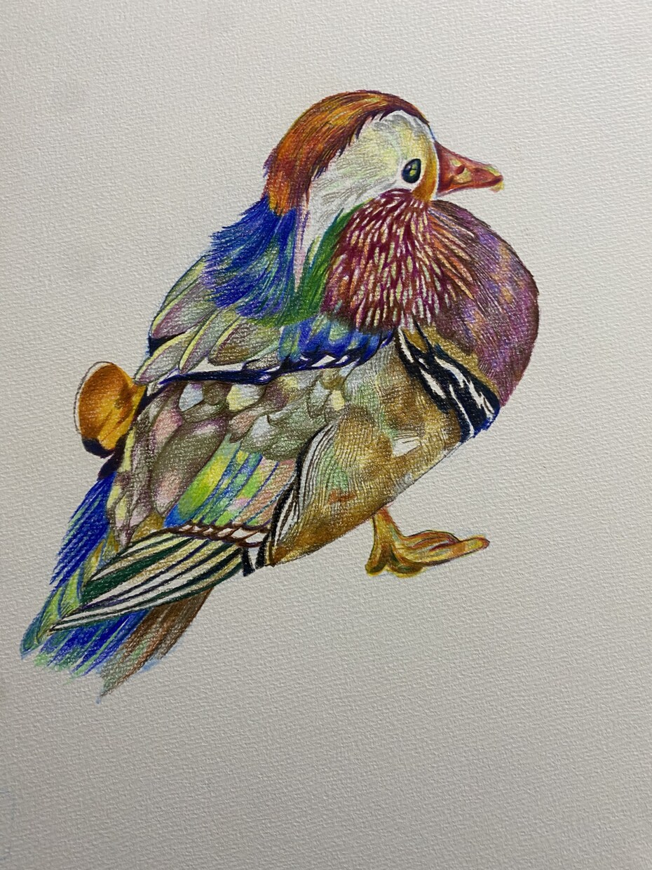 色鉛筆で綺麗な絵を描きます 水を色鮮やかに描けます✨ご家族への贈り物にもどうぞ！ イメージ3