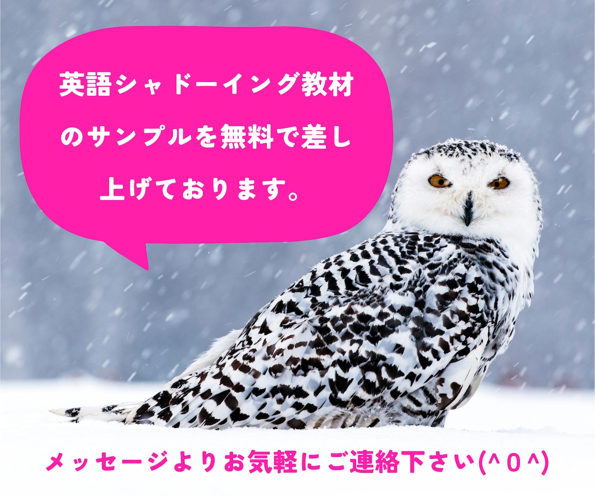 YouTubeを活用した英語学習教材☘️作ります 実践的な英語力を身につけたい方に最適です♪ イメージ1