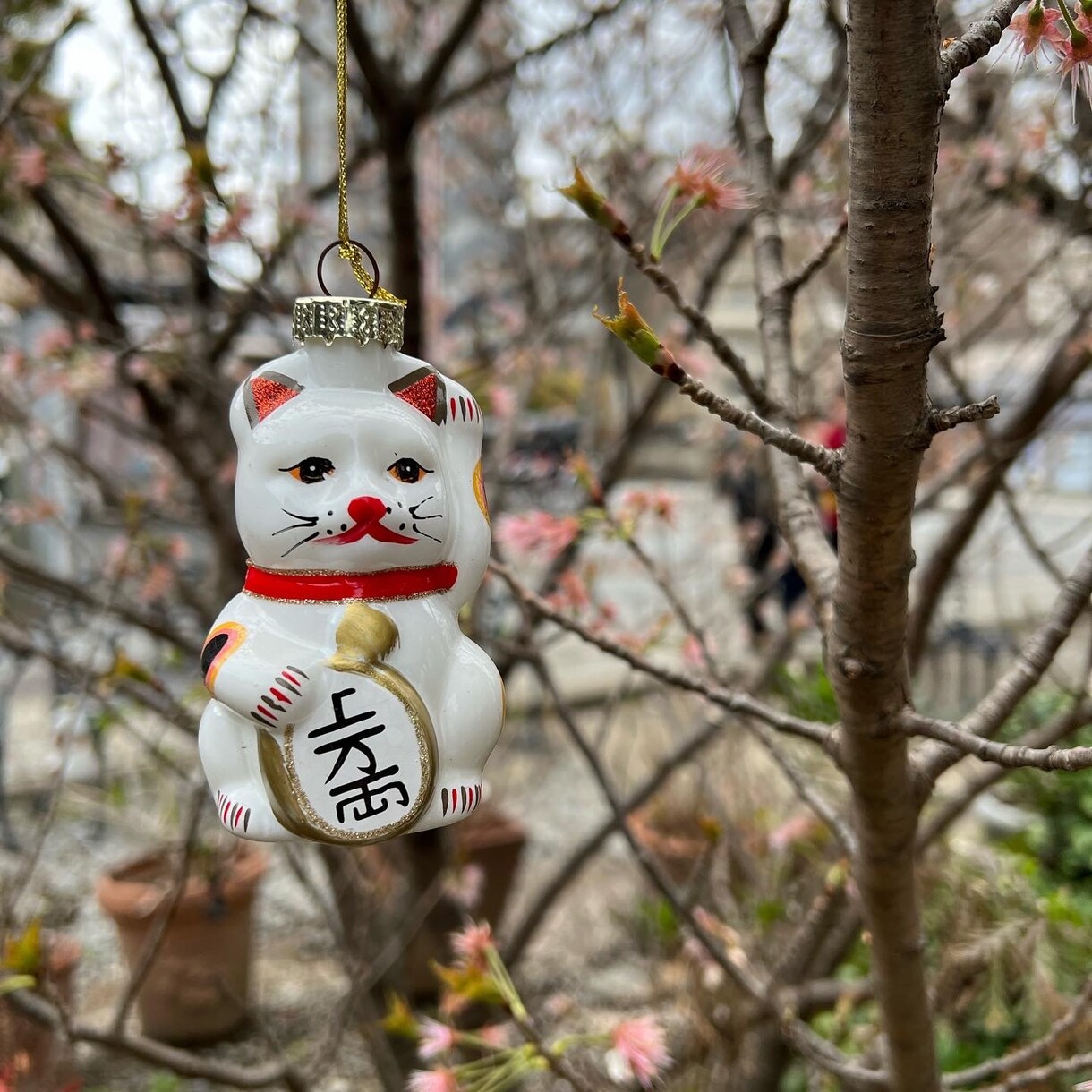 おためし！あなたの恋愛を龍神カードで占います 龍神カードと統計学であなたの気になる恋を占います イメージ1