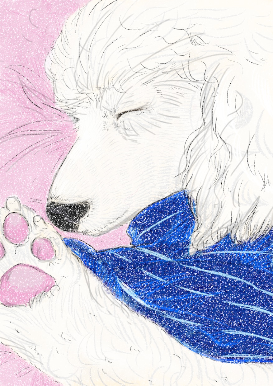 大切なペットのイラスト描きます 大切なあの子をイラストとして残しませんか イメージ2