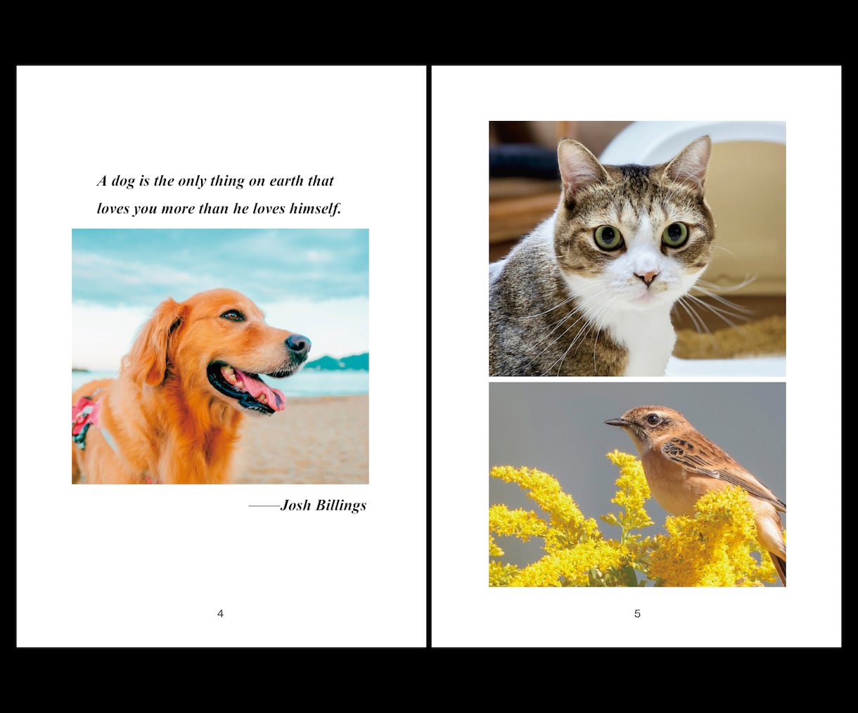 Amazonペーパーバック用PDFを組版いたします ｜epub作成可｜美麗仕上がり｜入稿エラー0保証 イメージ3