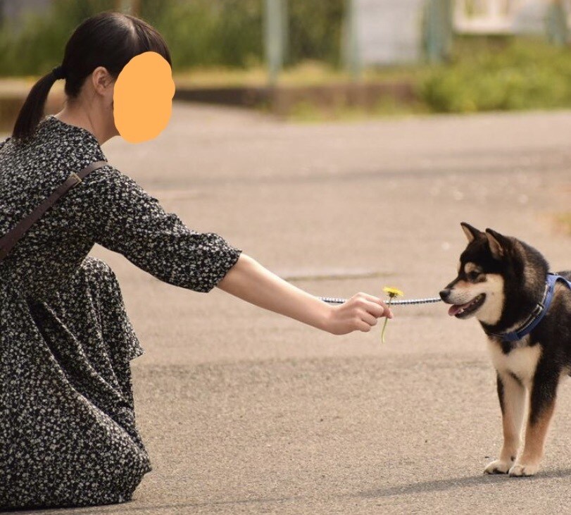 写真をイラストに！素敵なワンシーンを作ります あなたの特別な写真、ペットの写真をイラストにします！ イメージ2