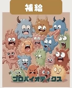 体質生活にあわせた腸活します 美肌・痩せ体質・メンタル安定を叶える腸活プランをご提案します イメージ3