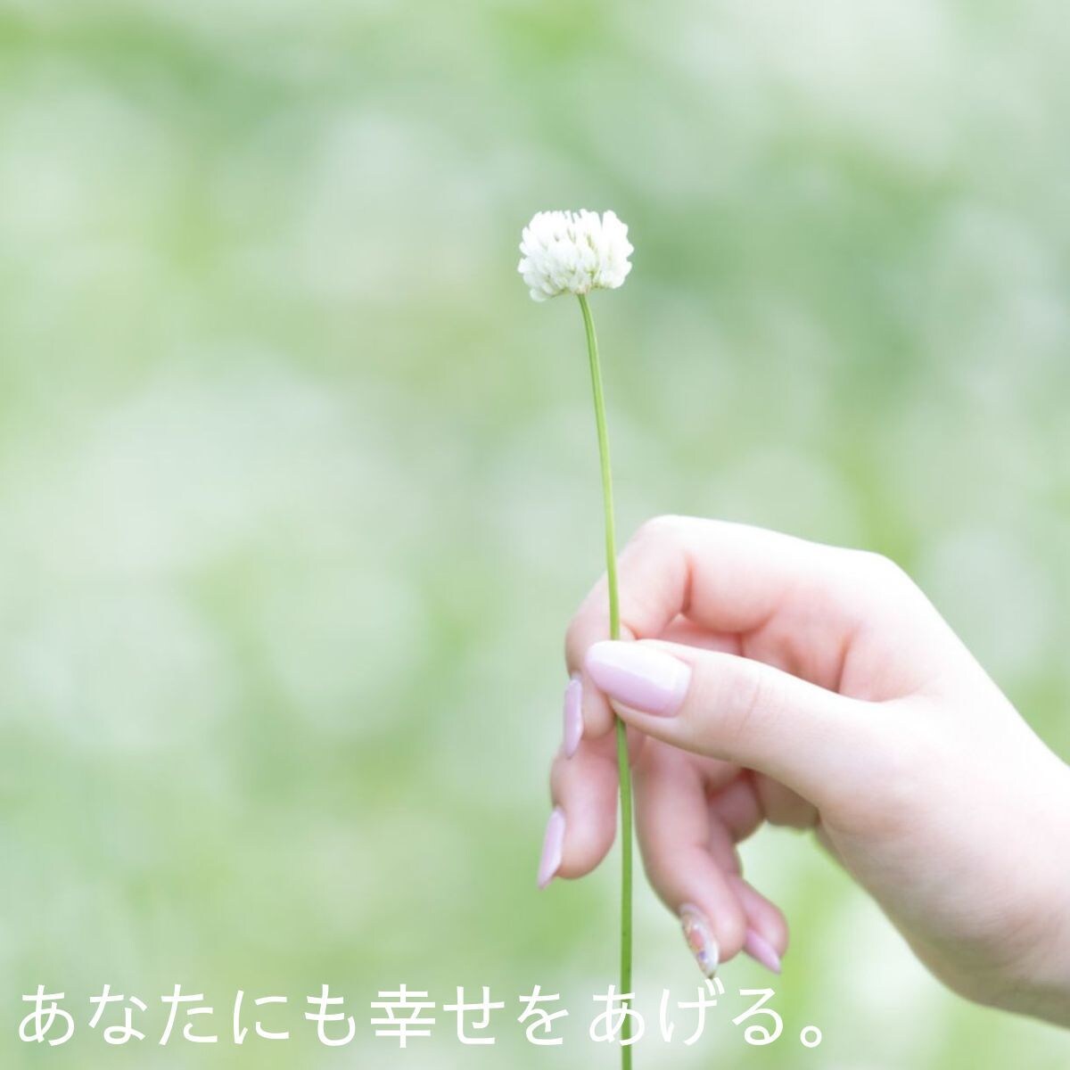 拒食症・過食症・愛着障害などの苦しさをお聞きします 自分や人を責めてしまいしんどい方へ｜当事者が寄り添います イメージ7