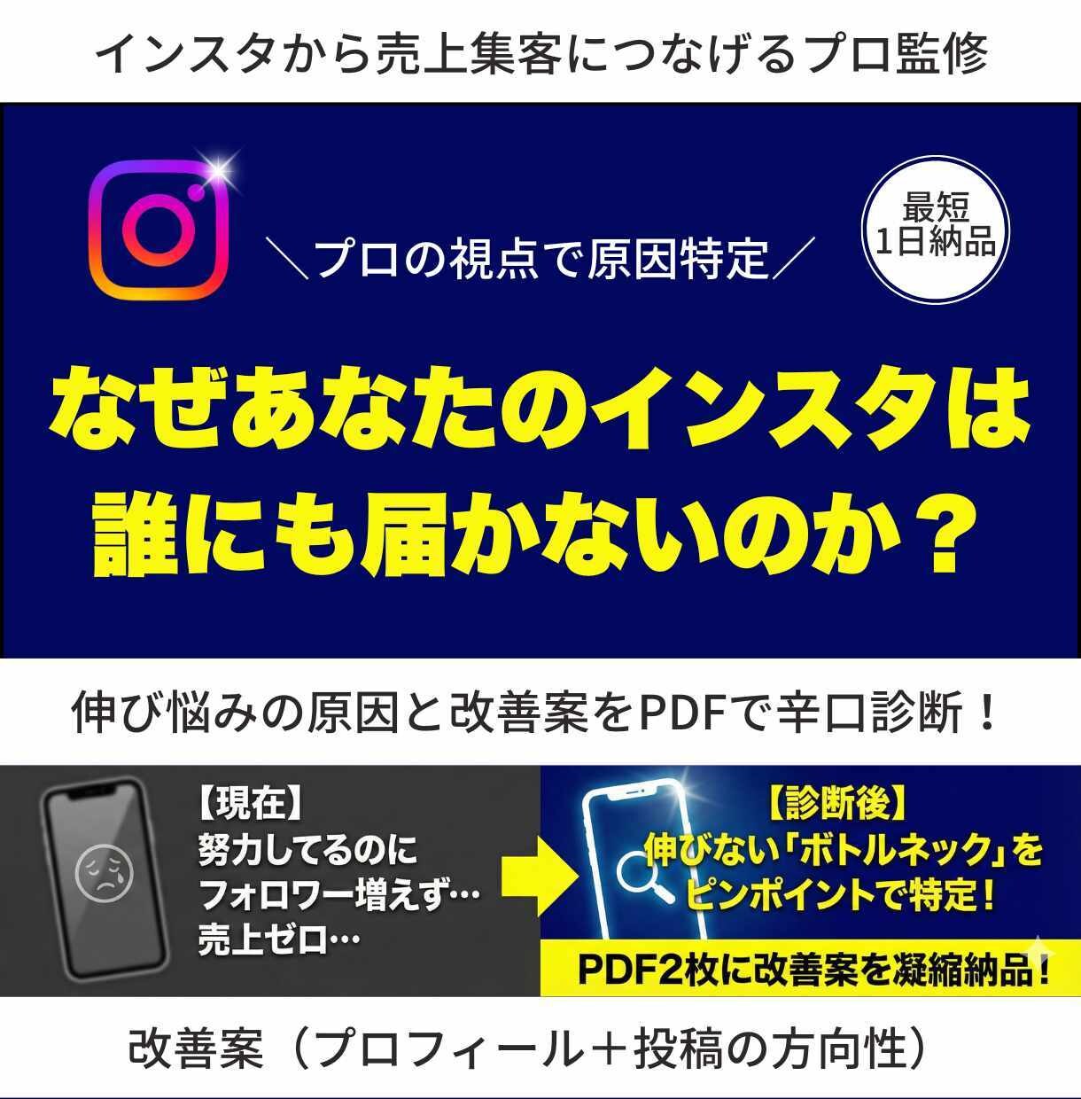 辛口診断！インスタ伸び悩みの改善案をお渡しします プロが「なぜ成果が出ないか」を分析。診断＋改善案PDF2枚 イメージ1