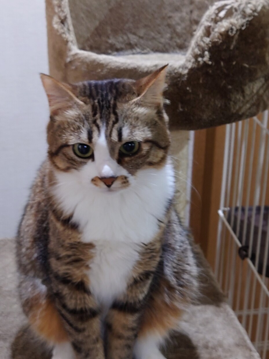 お気軽にどうぞ！何でも聞きます どんどん話してストレス発散しましよう！ イメージ1