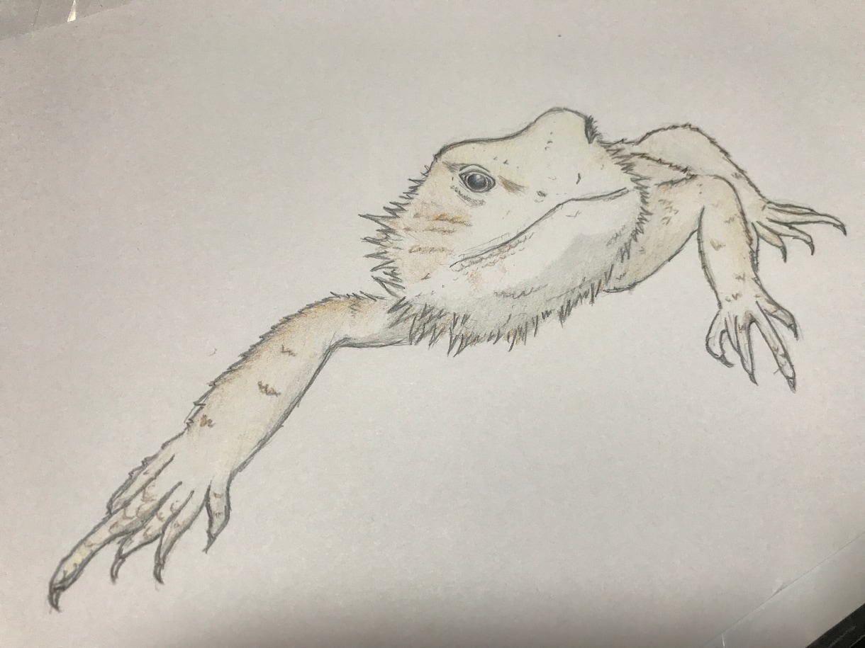 可愛いペットの絵を描きます サムネや記念日などにどうぞ(^^) イメージ2