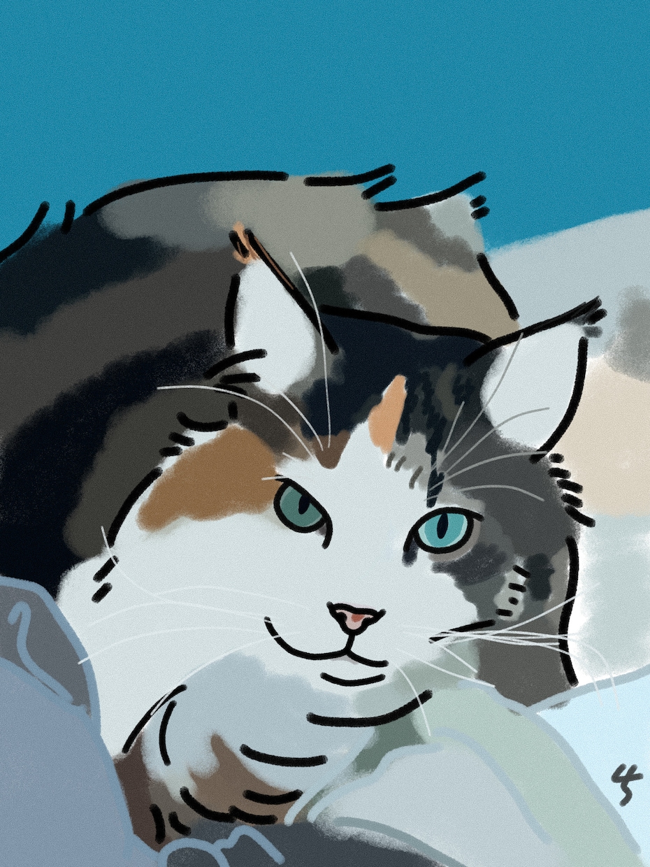 わんちゃんねこちゃんのデジタルイラスト描きます あなたのかわいいペットをシンプル線画で描かせてくださいᐝ イメージ7