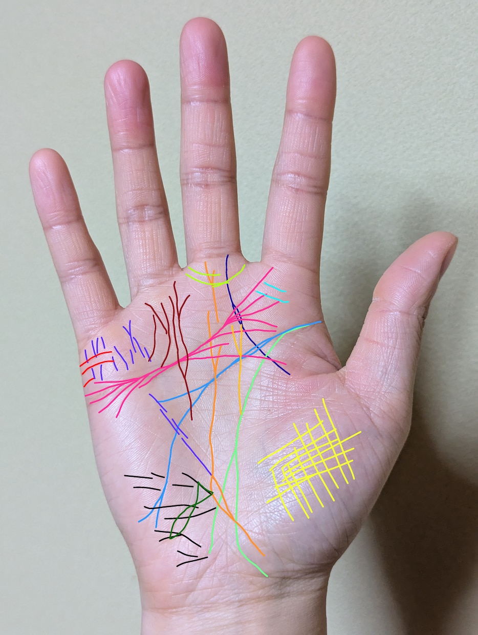 あなたに寄り添う手相鑑定/背中を押すお手伝いします 画像付きでわかりやすい鑑定／カラー線で細かく解説 イメージ3