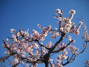 コラムやエッセイの執筆を承ります 人生経験豊富なので「大人」の視点、立ち位置での著述に成ます。 イメージ1