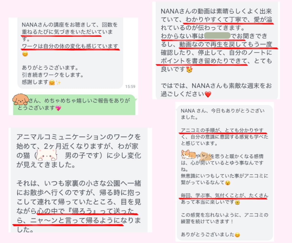 アニマルコミュニケーション講座Ⅰうちの子と話せます 動画で学び、自分の愛犬・愛猫とお話ししましょう☆初心者向け イメージ3