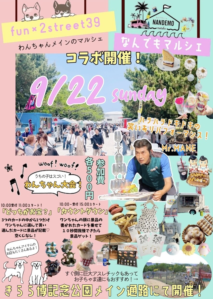 目にとまるようなチラシ作成します イメージをお伝え頂ければ、どんなチラシでも作ります！ イメージ2