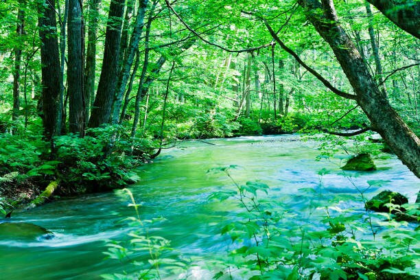 虐待サバイバーが、あなたの気持ちに寄り添います 特殊な経験をした私なので、力になれることがあるかもしれません イメージ9