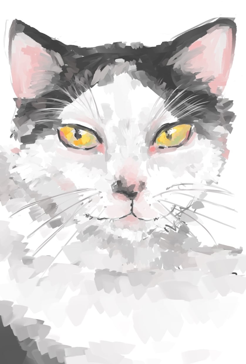 一次創作二次創作(夢絵あり)描きます お客様に満足していただけるよう頑張ります！！ イメージ10