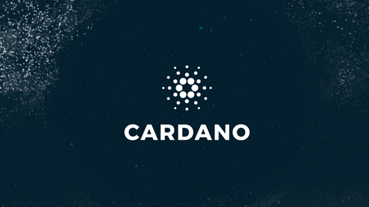 Cardanoプロデューサーノードを構築代行します あなた自身のカルダノブロックチェーンノードが手に入る！ イメージ1