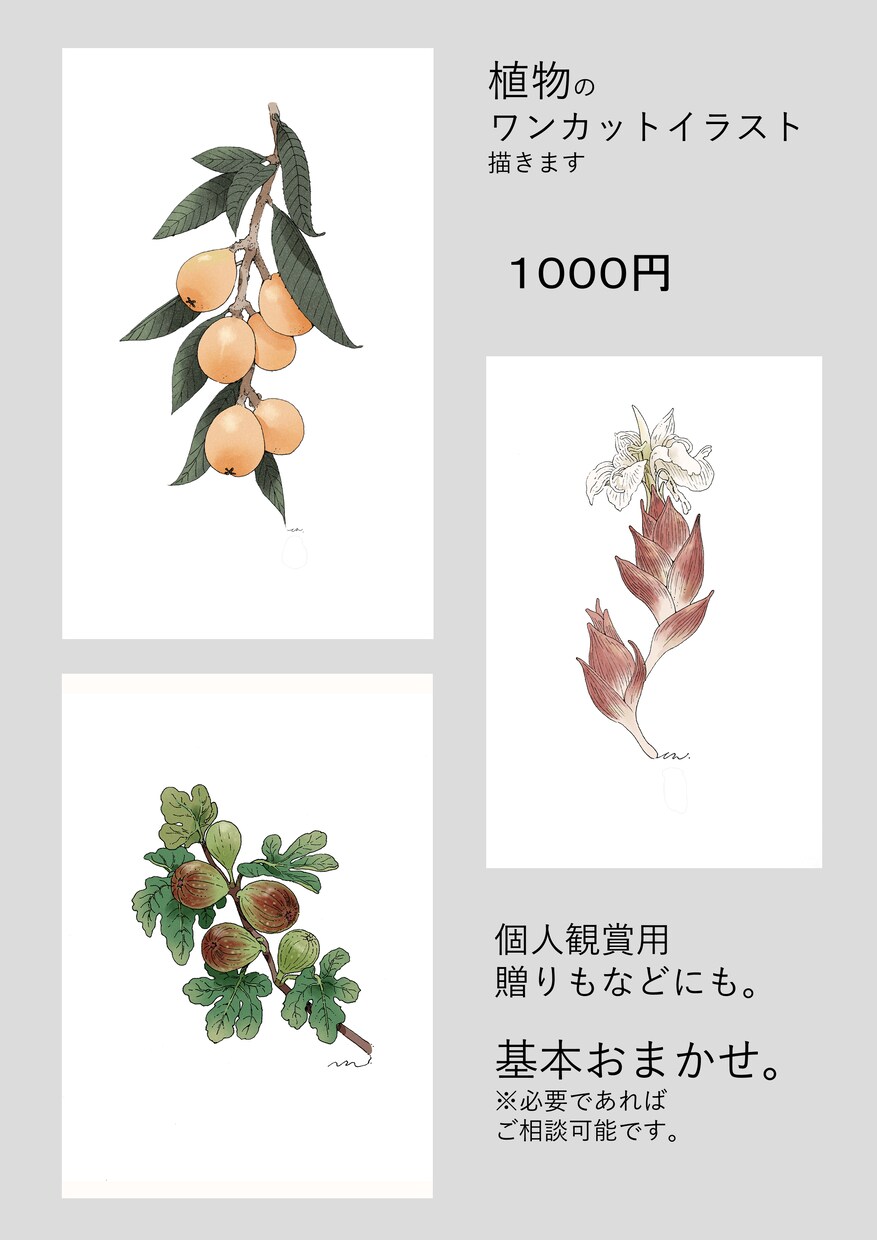 植物のワンカットイラスト描きます 綺麗でおしゃれな植物をあなたのために作成します！ イメージ1