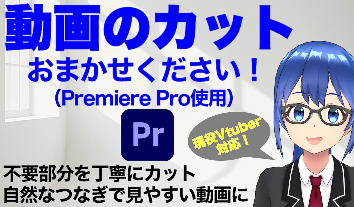 面倒な動画のカット作業を承ります 【YouTubeやSNS動画に最適】カット作業お任せください イメージ1