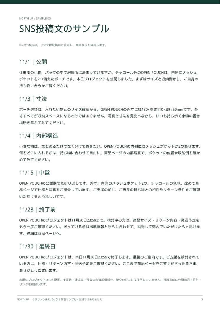 クラファンの告知文と30日発信計画を作ります 完成したLPを活かす、SNS・活動報告・広報原稿 イメージ2