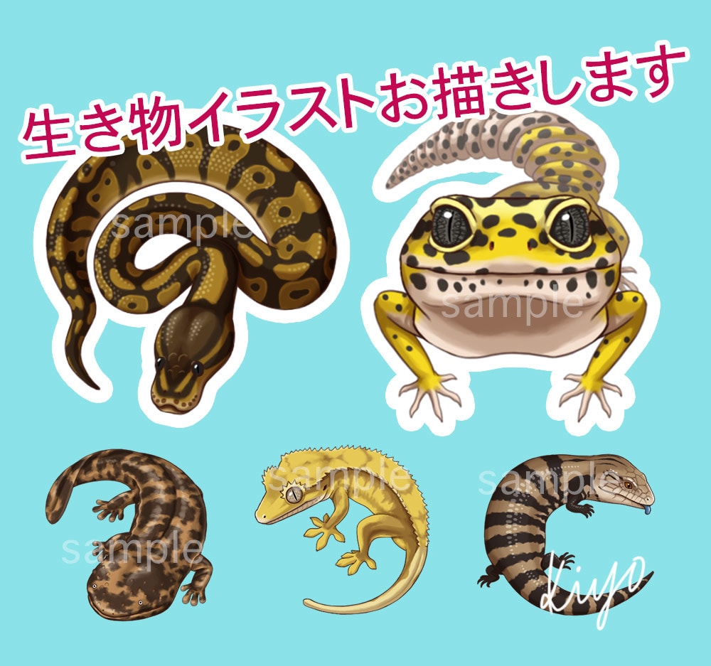 動物のイラストを描かせていただきます 爬虫類、両生類、哺乳類、鳥類、虫、海洋生物など イメージ1