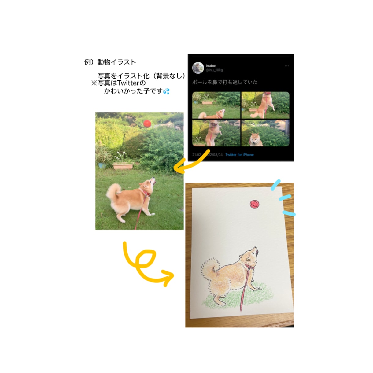 動物や人の似顔絵を描きます アイコンやプレゼントなどにご活用ください(^^) イメージ6