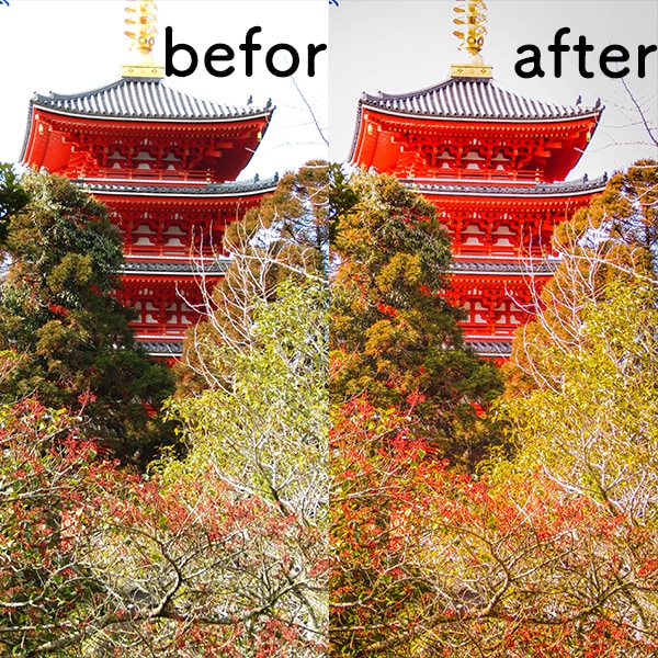 写真の補正・合成・切り抜き承ります WebでもSNS用にも使えます! イメージ1
