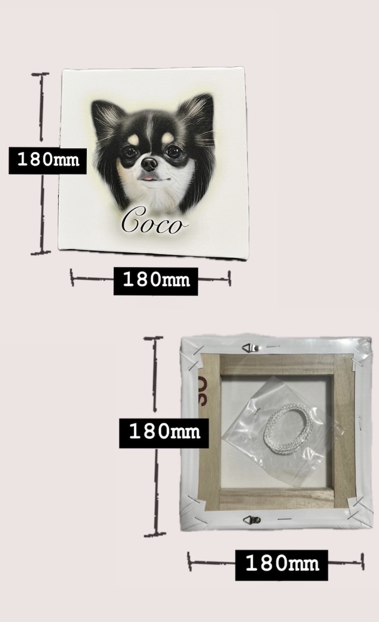 愛犬(チワワちゃん専門)の似顔絵描きます 記念日に我が子の絵を作ってみませんか？ イメージ3